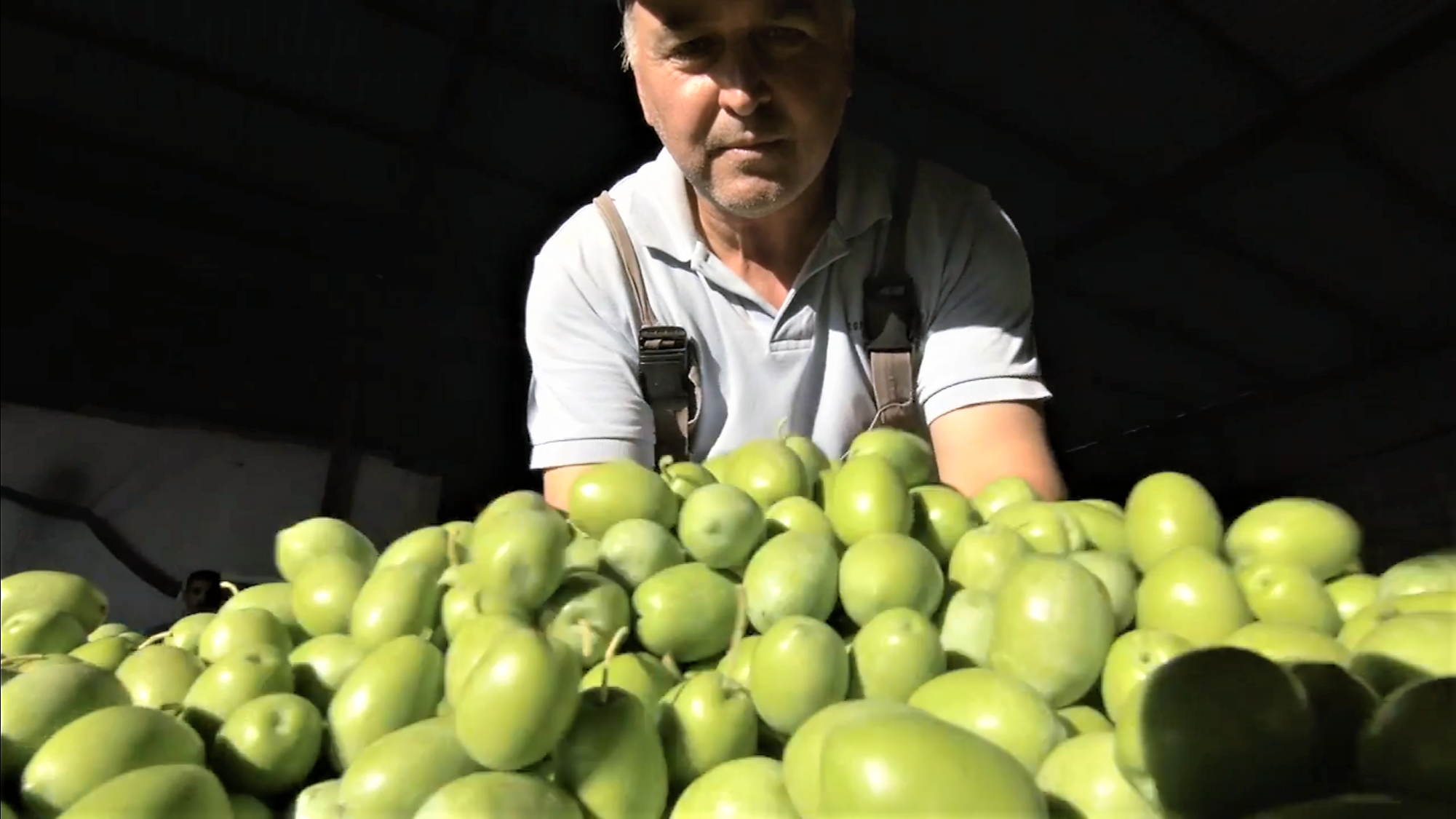 apostoli-epixeiriseis2